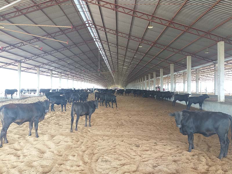 AS Projetos e Pré Moldados